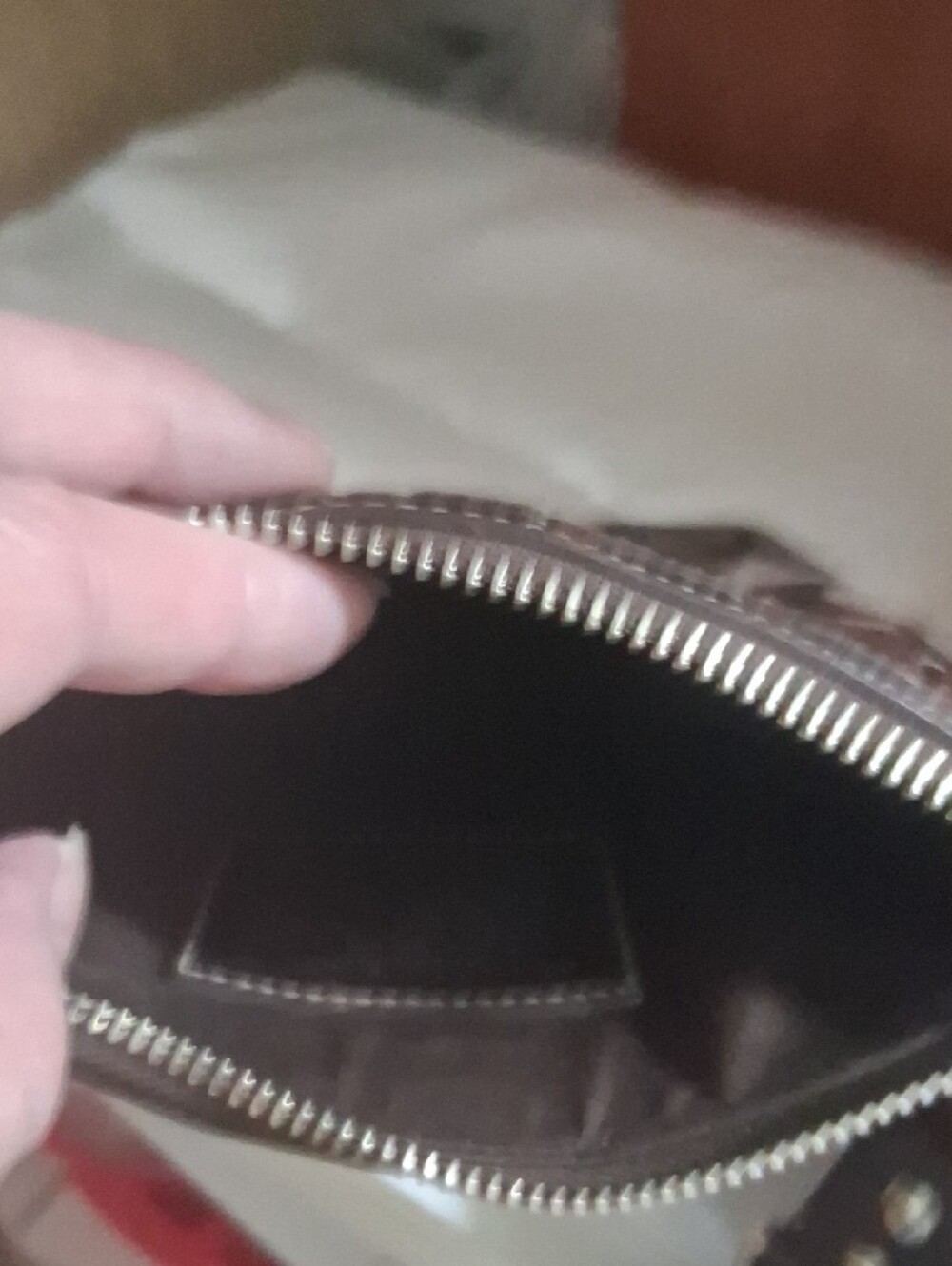 Coach Brown Crossbody with Snakeskin-Pattern Center Stripe - Picture 4 of 6